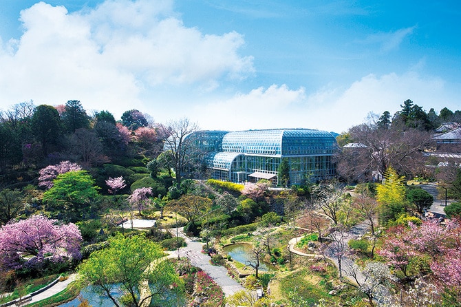 4ページ目)【高知県 2024年版】春の絶景・風物詩10選「大月町の