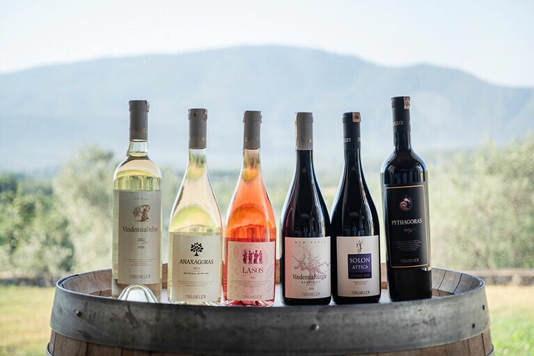 「イエディ ビリゲレル」で味わえるワインのラインアップ。購入も可能。680TL～。