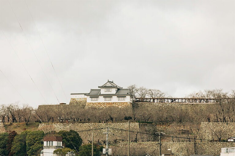 津山城址の鶴山公園では桜の季節にBBQを楽しむ人たちも多い。