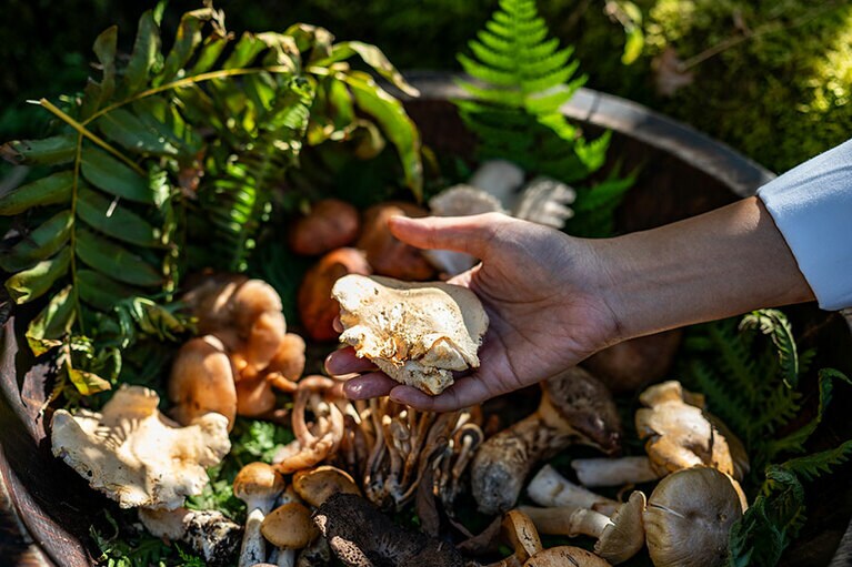 新潟県・里山十帖の秋