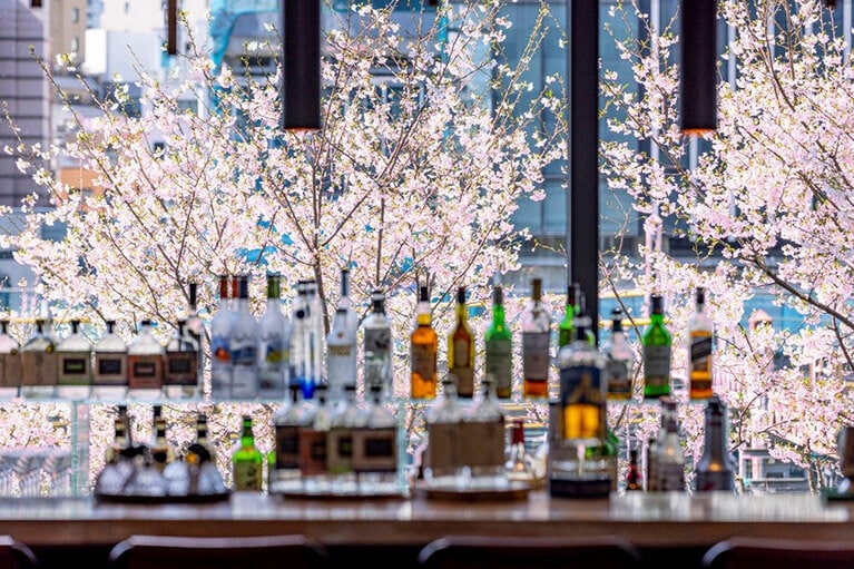 例年、桜は3月末から4月初旬が見頃。2018年に開業したプルマン東京田町とともに毎年5cmほど成長している。