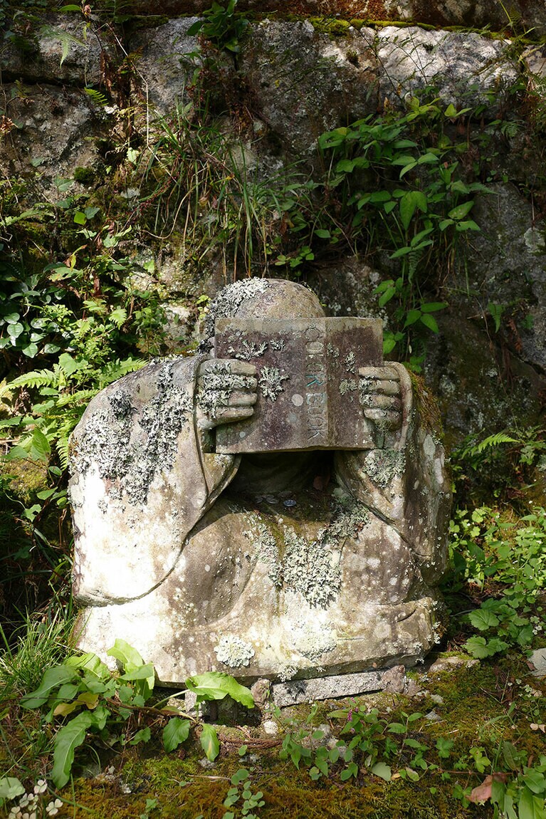 恥ずかしがり屋羅漢？