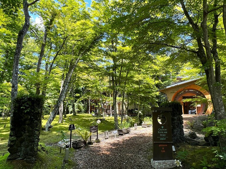 まるで童話の世界。