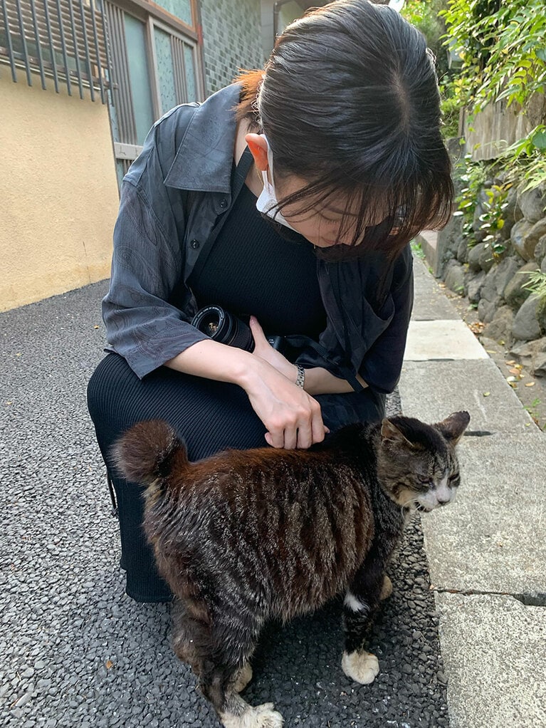 フィルムカメラで猫を撮影する田中さん。