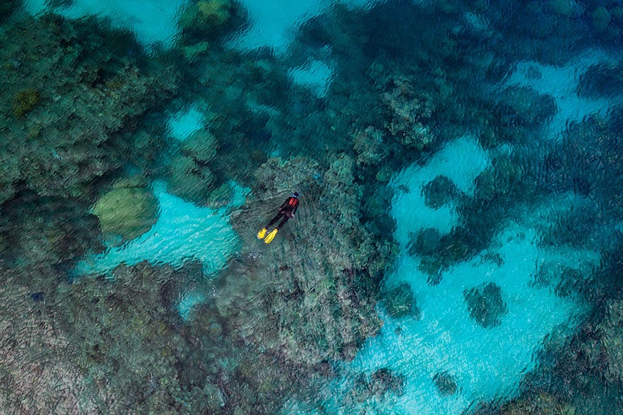 グレートバリアリーフを救う可能性のあるサンゴ礁を探す海洋生物学者エマ・キャンプ(2019年度ロレックス賞受賞者) 。©Rolex/Franck Gazzola