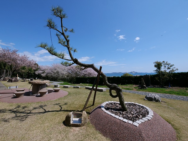 庭園の撮影スポットのひとつ「縁結びの松」。