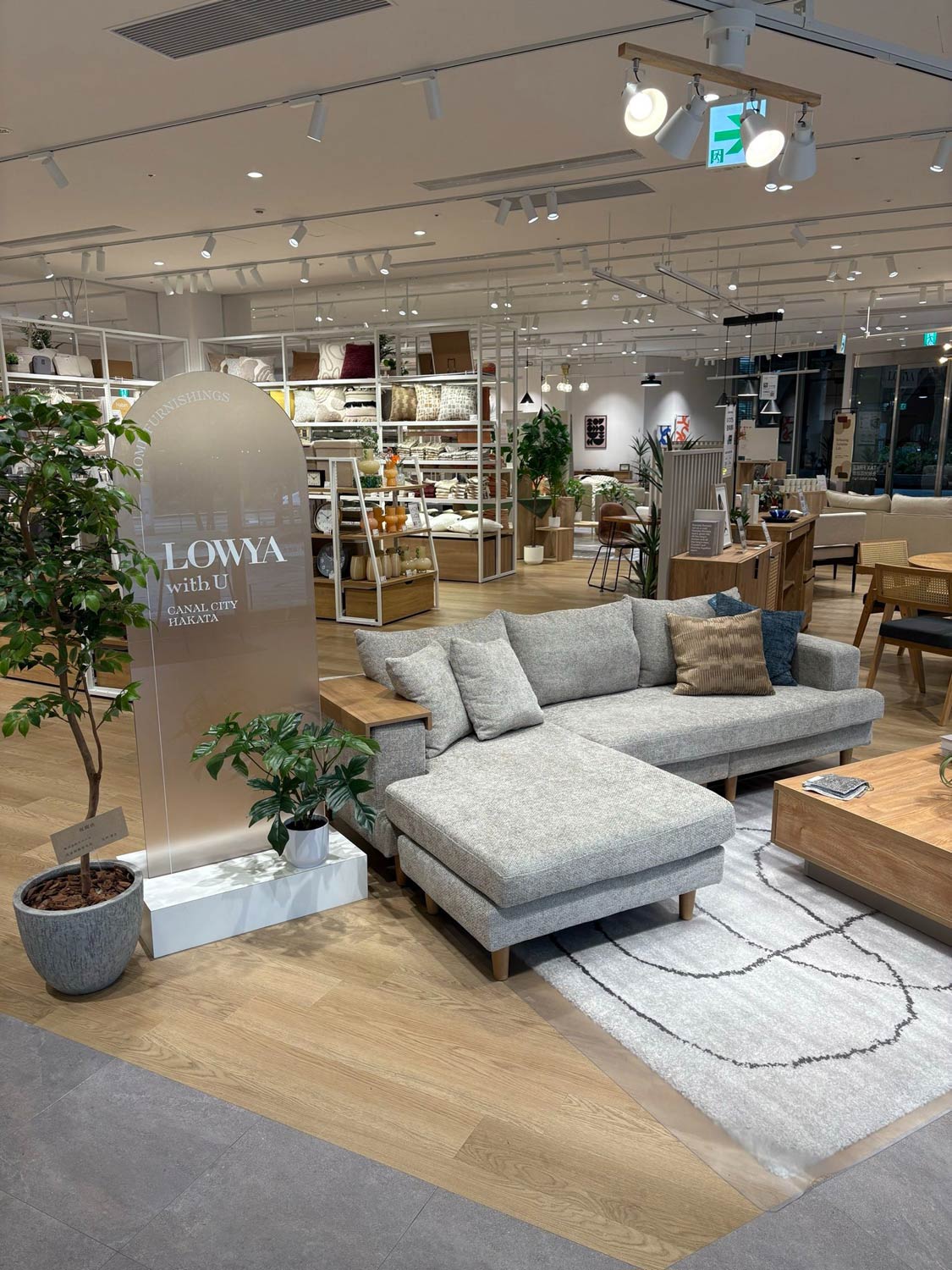 実店舗の様子（LOWYA公式Xより）