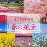 今こそ行きたい！ <br />
「日本にしかない風景」再発見
