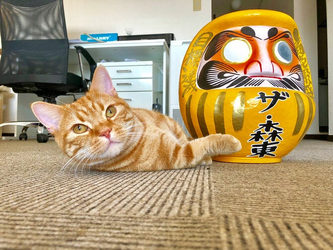 会長”は相方よりもザ・森東なヤツ」 愛しさ全開！さらば森田が愛猫を