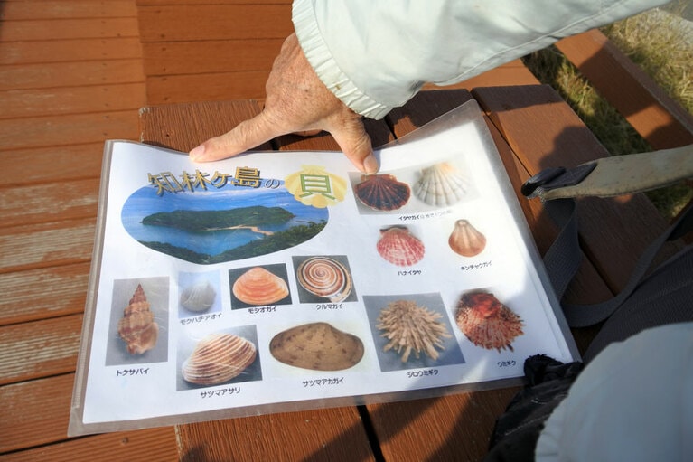 ちりりんロードが出没する日はスタッフが見守りを行います。知林ヶ島について詳しく聞くこともできます。