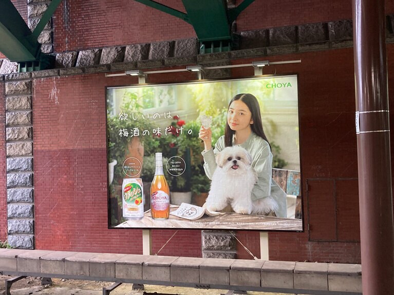 四ツ谷のモコゾウ。