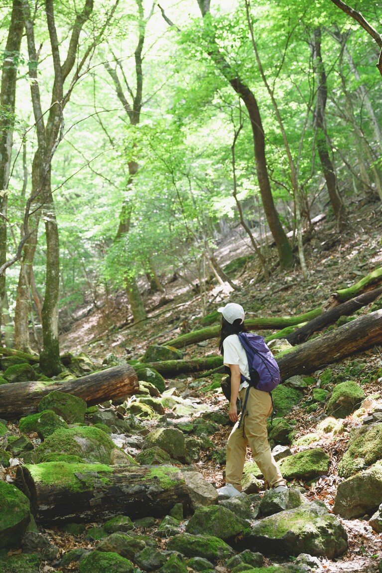 山頂間近は急登が。後少し！