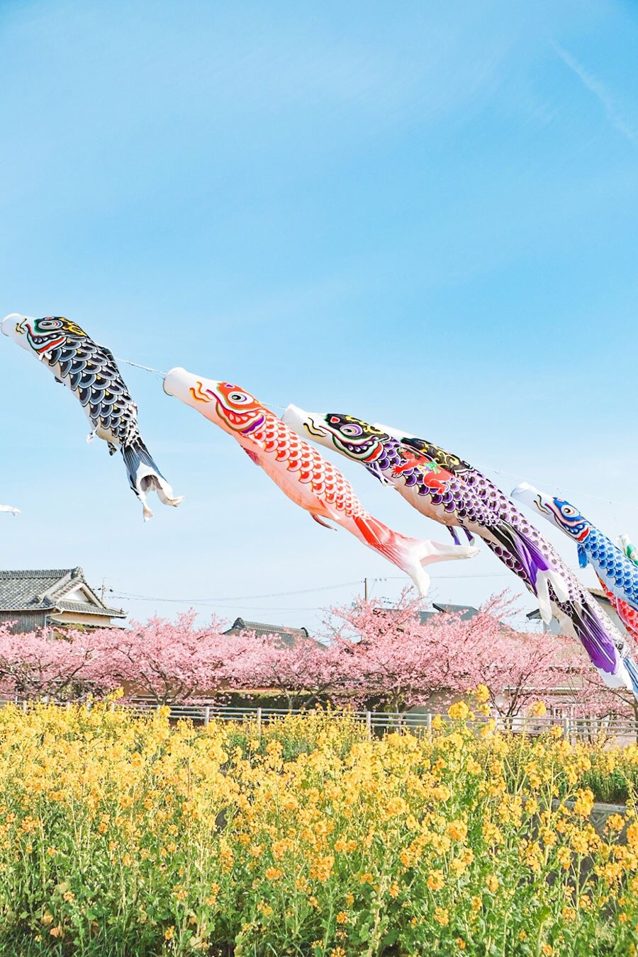 【2023年版】 いつか行きたい! 日本の冬の絶景 西日本篇まとめ《全260スポット》① | 今こそ行きたい! 「日本にしかない風景」再発見 ...