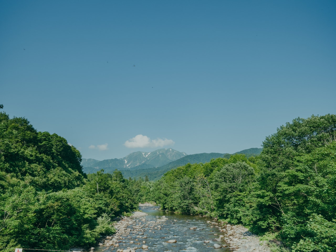 橋から眺める北ノ又川の眺め。