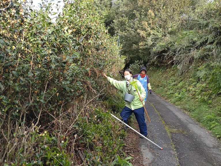 耕作放棄された茶畑に手を入れることで、美しい景観を取り戻したいという。
