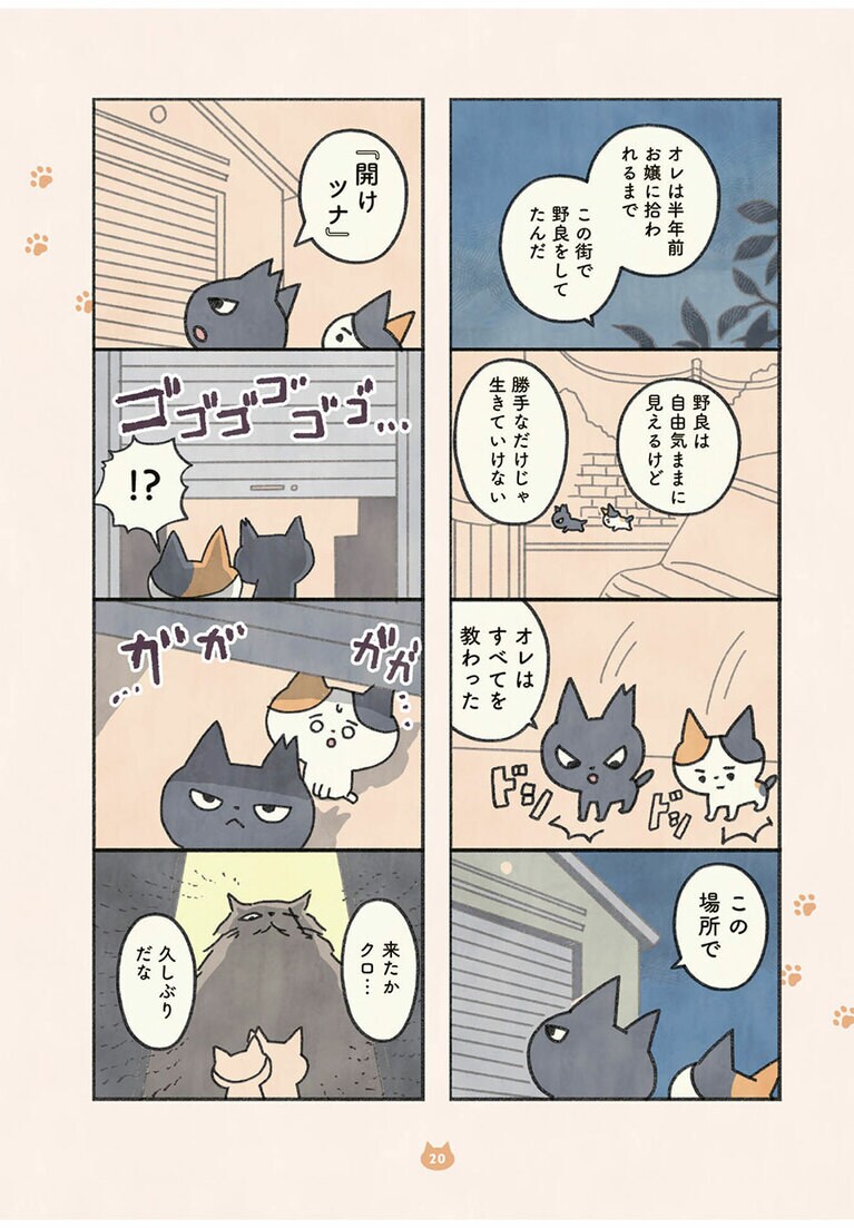 『もしもなんて来ないと思ってた猫』オキエイコ（実業之日本社）。