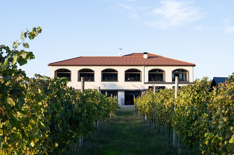 ぶどう畑に包まれた10室の小さなホテル「ワイナリーステイ トラヴィーニュ」。