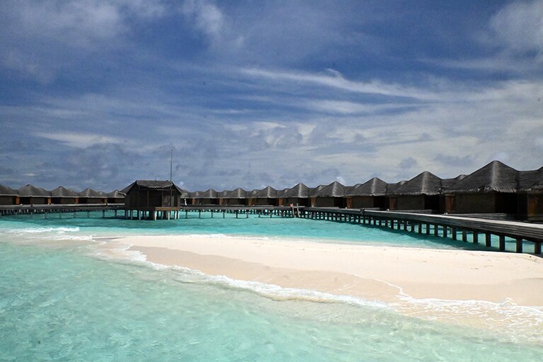 水上コテージのエリア。春はアジサシのシーズンなのか、無数の海鳥が羽を休めていました。