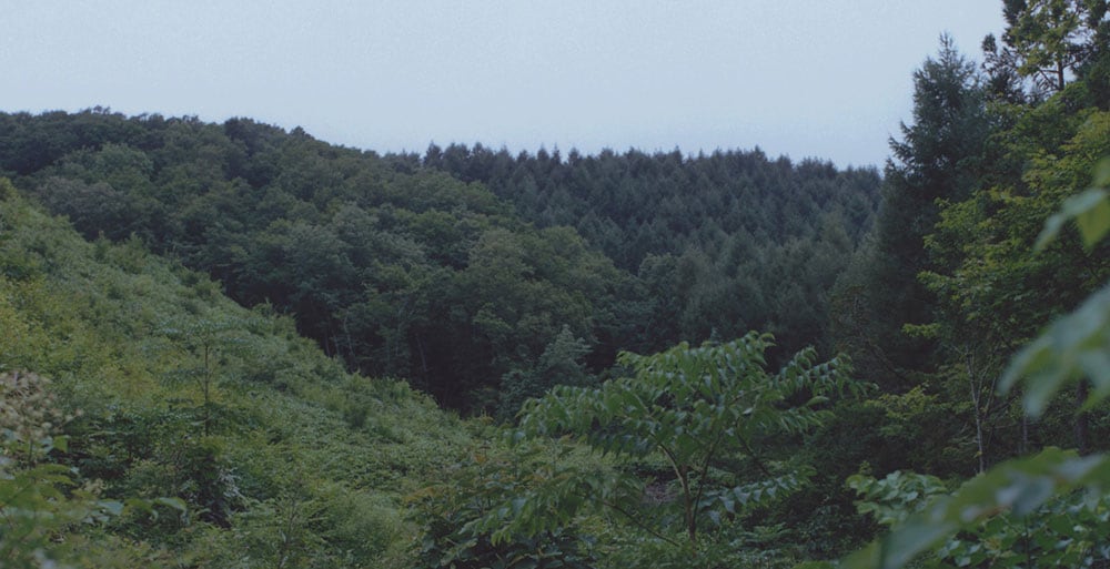 岩手県盛岡市、県立自然公園内に位置する「BAUMオークの森」。資生堂は2021年から10年間、年約600本のオーク(ナラ)を植え、保全するプロジェクトを開始。森を育て、再びBAUMに活用する循環を目指す。