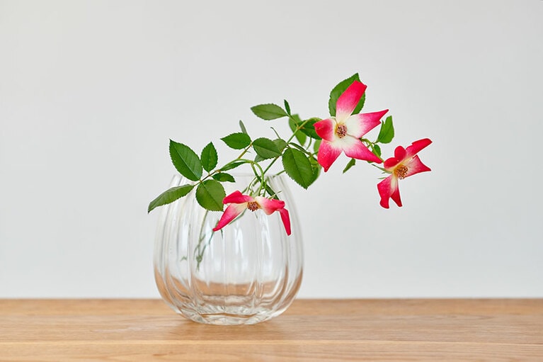 首が下がっていると、枯れているように見える。