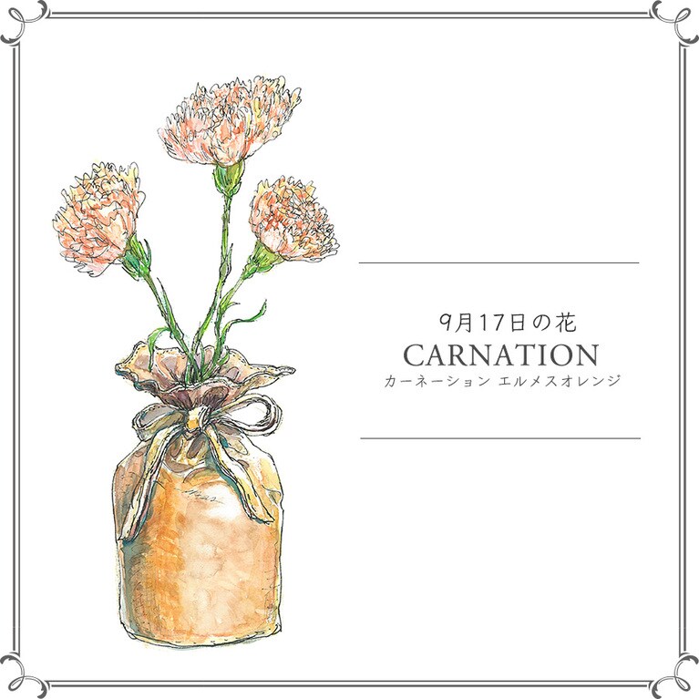 9月17日の花「カーネーション エルメスオレンジ」