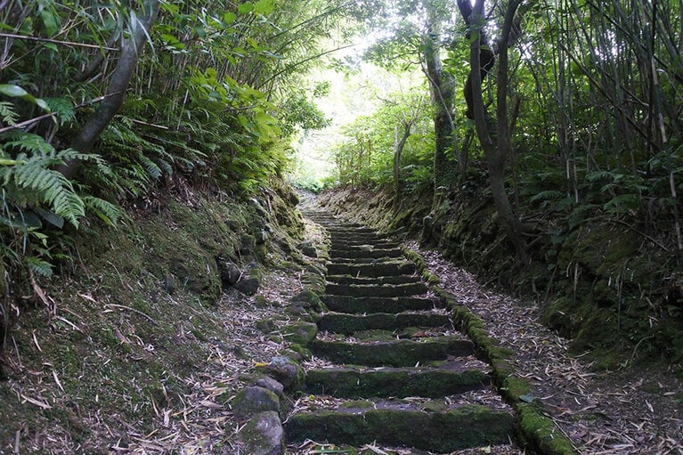大凸部の頂上へ向かう山道。湿度が高く、かなりハードな道のり。