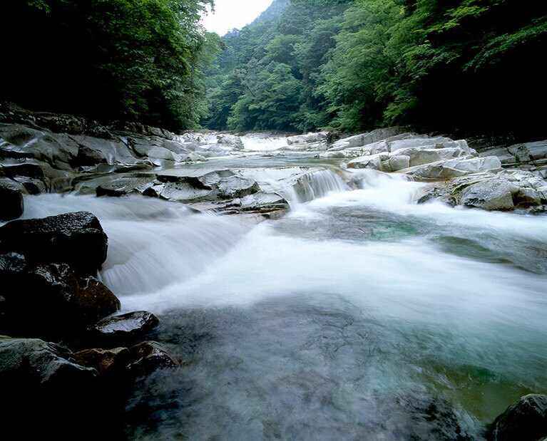 【愛媛県】夏の面河渓。