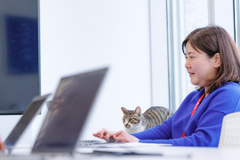 真剣にパソコンを眺める姿も愛らしい。