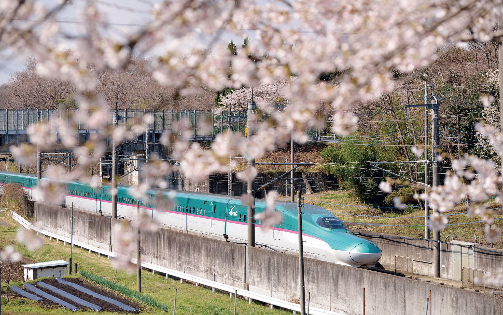 安い 新幹線 ブランケット どこ