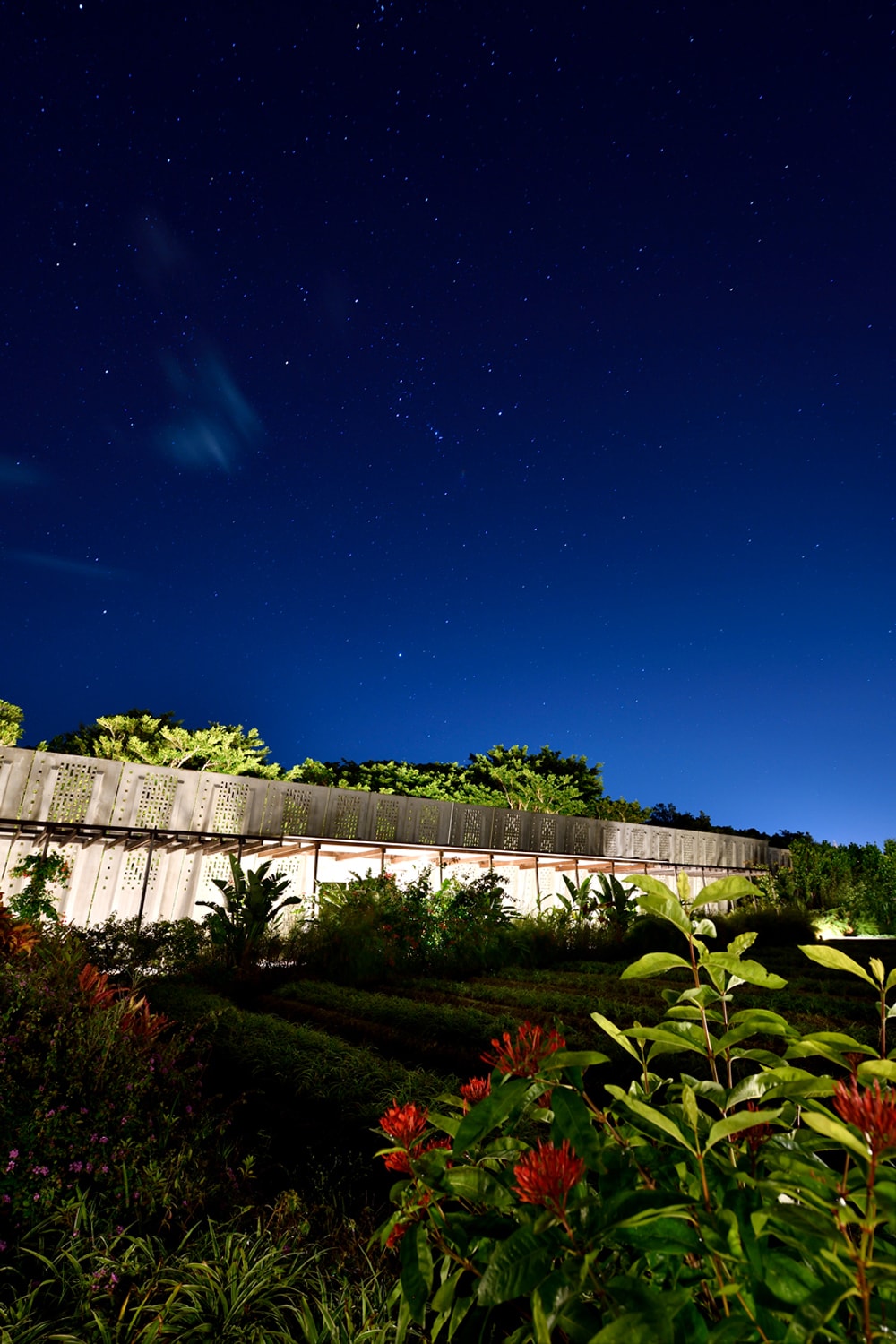 星空の下、幻想的にライトアップされた星のや沖縄の象徴、グスクウォール。