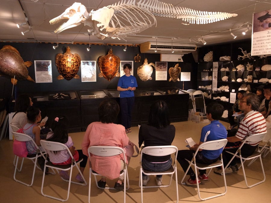 黒島研究所では勉強会や夜の島のフィールドガイド(1名につき1500円、当日に予約を)も開催しています。©︎黒島研究所