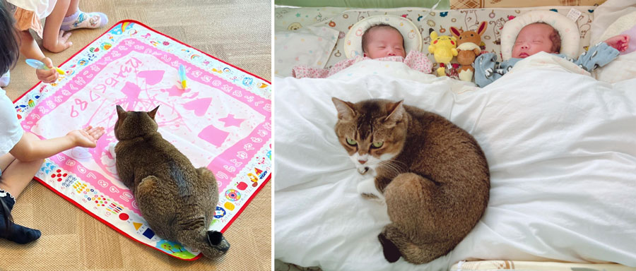 オキさんのお子さんは、猫たちと一緒に育ってきた。
