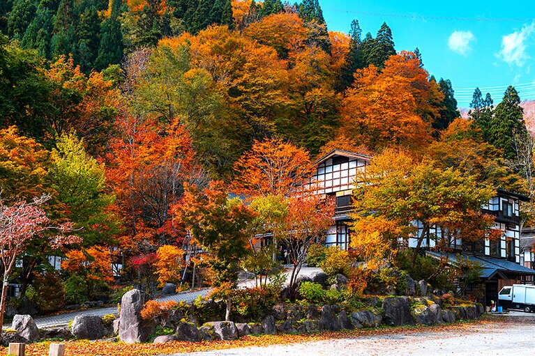 貝掛温泉［新潟／貝掛温泉］外観秋。