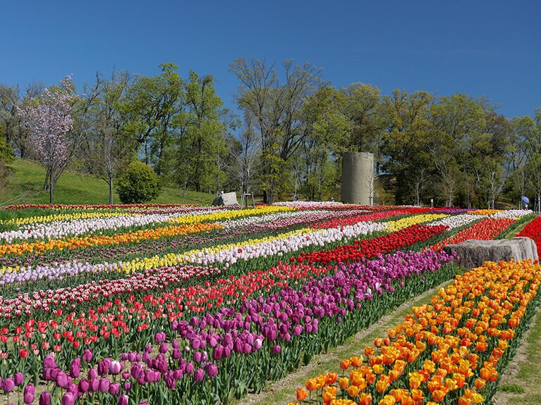 【奈良県】馬見丘陵公園。