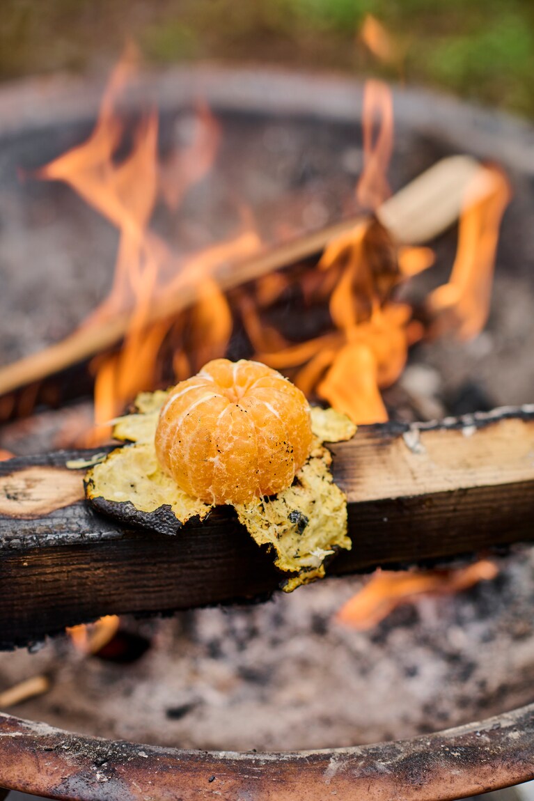 焚き火メシの本。