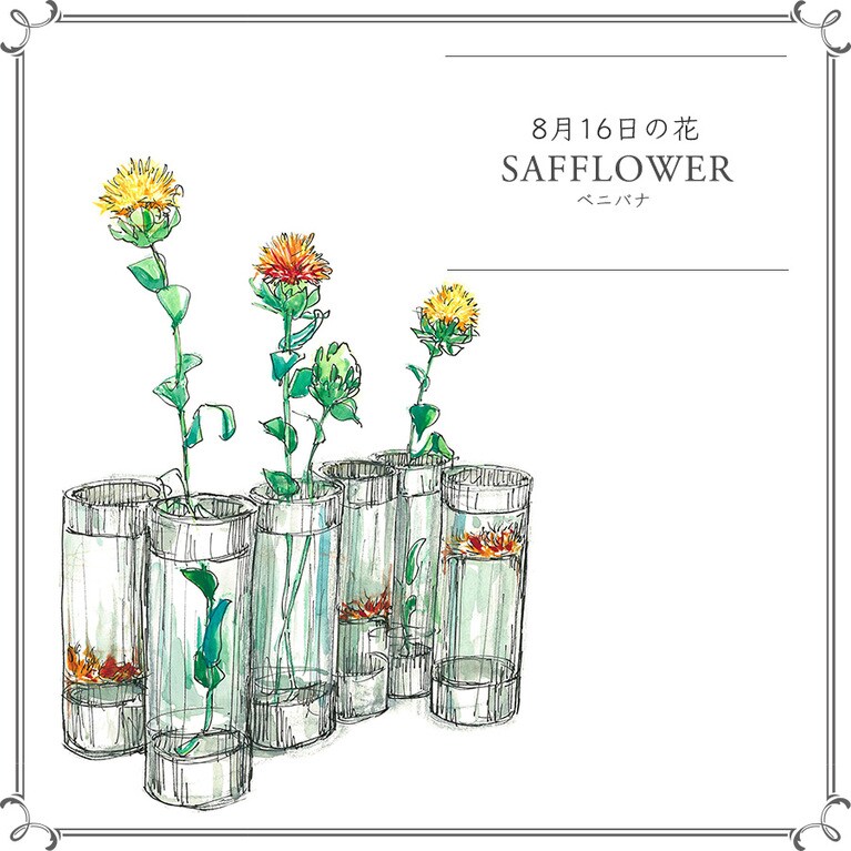 8月16日の花「ベニバナ」