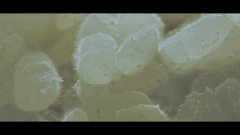 「NOGUCHI -酒造りの神様-」より。