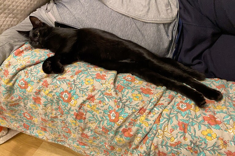 レオン ♂ 10カ月。