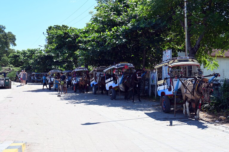 船着き場周辺にはチドモがずらりと待機しています。