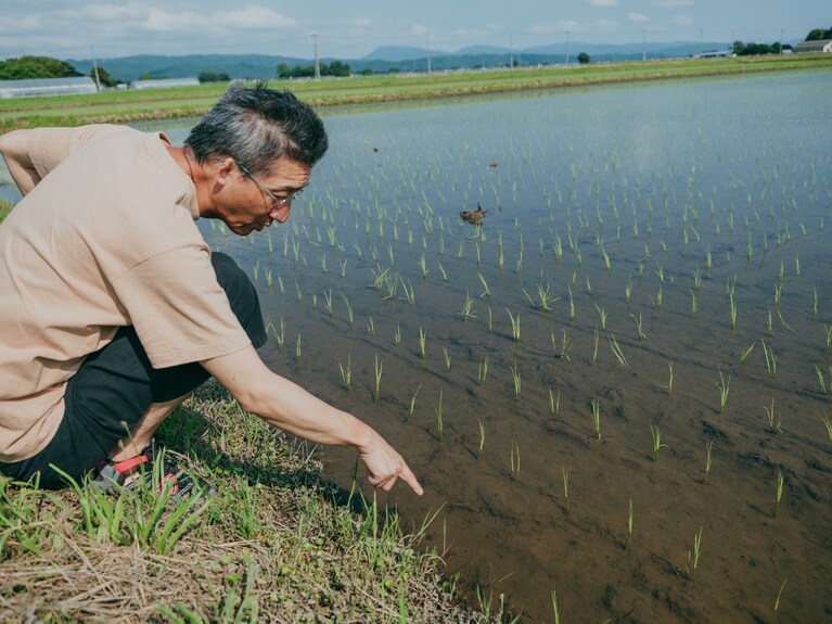 農学博士でもある荒生勘四郎農場の荒生さんは、いつも丁寧に農業について教えてくれる。（photo：Ayumi Mineoka）