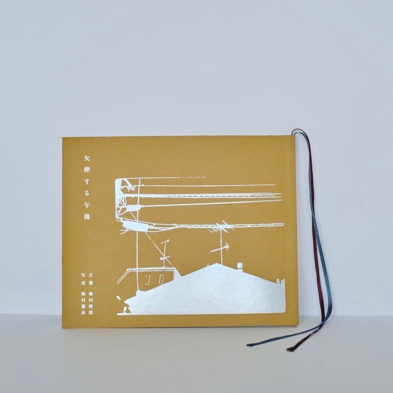 興村俊郎・興村憲彦『欠伸する午後』。5,060円。PINHOLE BOOKS