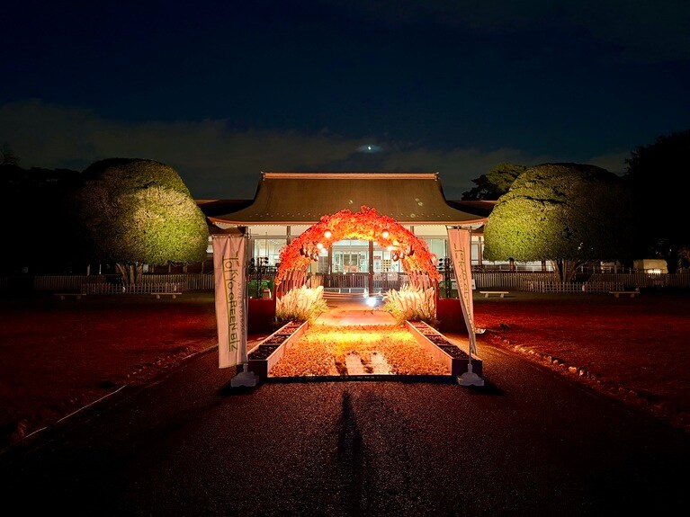 ライトアップされる色合いによって、まったく雰囲気を変えるイチョウのアーチと「江戸東京たてもの園」。