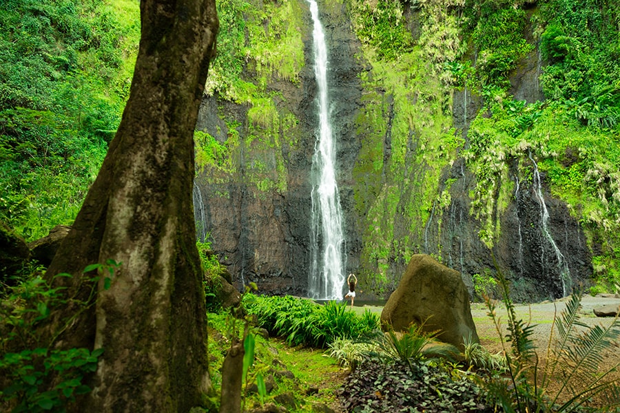 面積は東京都の半分ほどのタヒチ島ですが、島内には標高2,241mのオロヘナ山がそびえ、幻想的な滝なども。Photo: Grégoire Le Bacon
