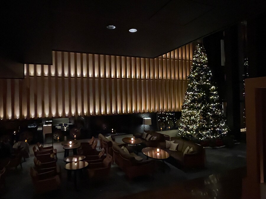 【フォーシーズンズホテル京都】 平安時代から続く名庭とクリスマスツリーが溶け合う風景 | ホテルのクリスマスツリー | 写真 | 9枚目