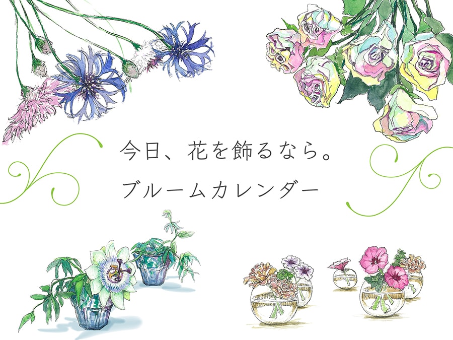 今日 飾りたい花 がわかる 6月のブルームカレンダーイラスト集 今日 花を飾るなら ブルームカレンダー 写真 1枚目