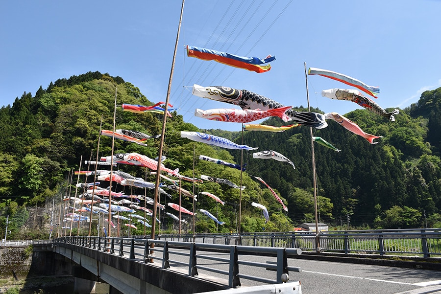 【鳥取県】江府町日野川のこいのぼり。写真提供：江府町役場