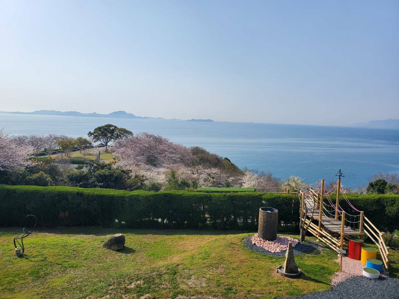 春先、庭園では桜と瀬戸内海が織り成す絶景も楽しめる。提供：桃井ミュージアム