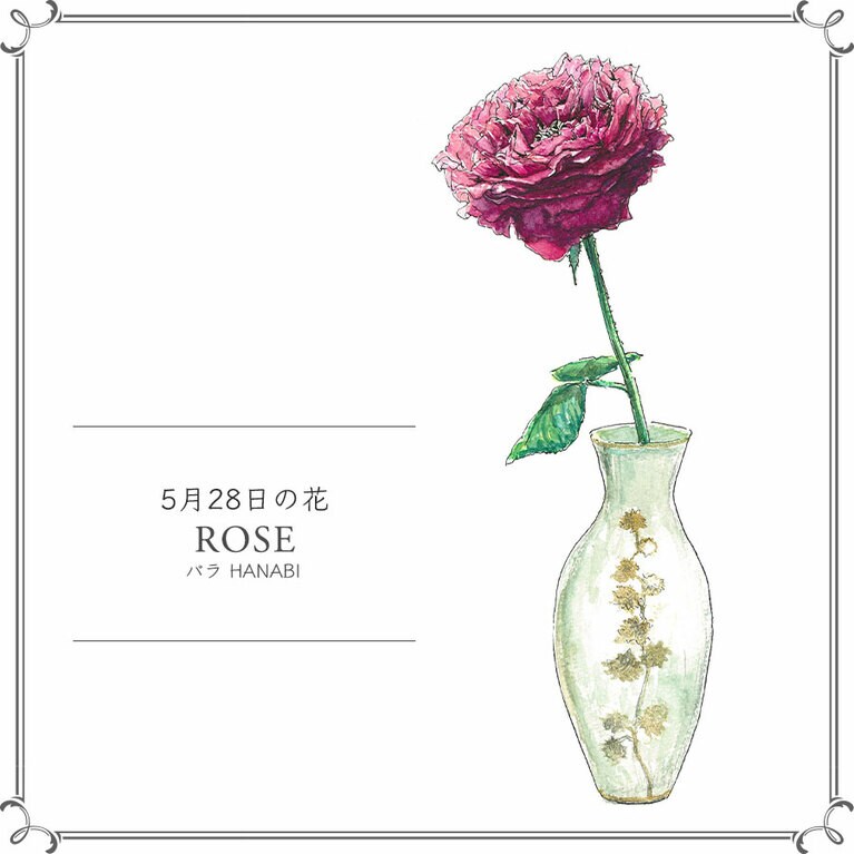 5月28日の花「バラ HANABI」