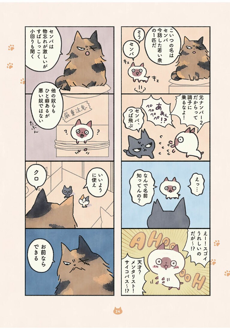 『もしもなんて来ないと思ってた猫』オキエイコ（実業之日本社）。