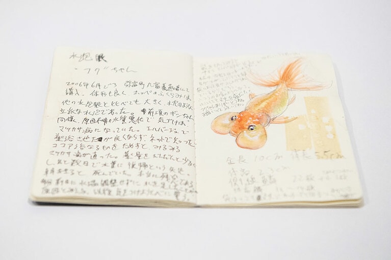 「DEATH NOTE」と名付けられた深堀氏の金魚のデッサンノート。